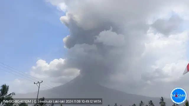  Gunung Lewotobi Laki-Laki erupsi lagi pada Jumat (8/11/2024), pukul 10.44 Wita.